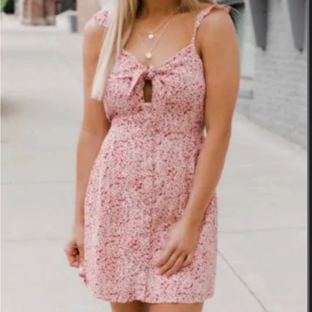 Pink Lily Red Floral Dress